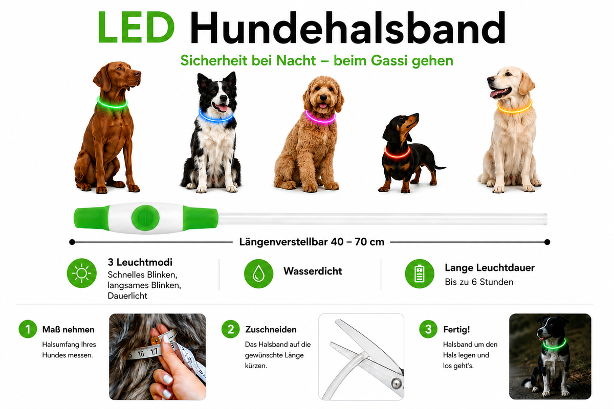 LED-Hundehalsband – wiederaufladbar, individuell kürzbar & wasserabweisend