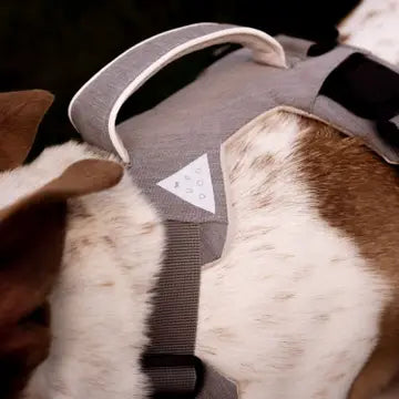 Magnetisches Hundegeschirr mit Griff